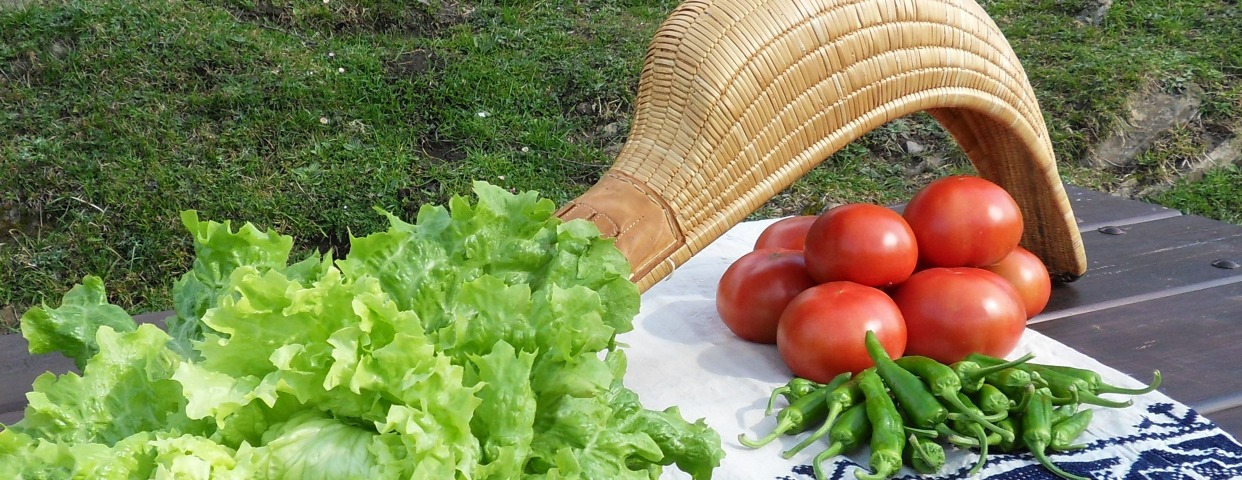 header-image